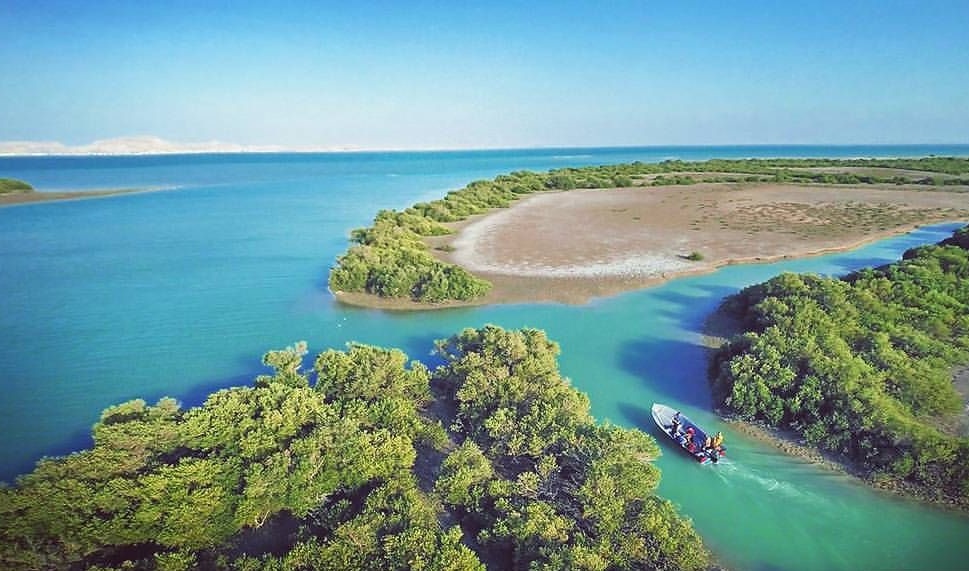 Mangrove-Forests-of-Qeshm-6.jpg