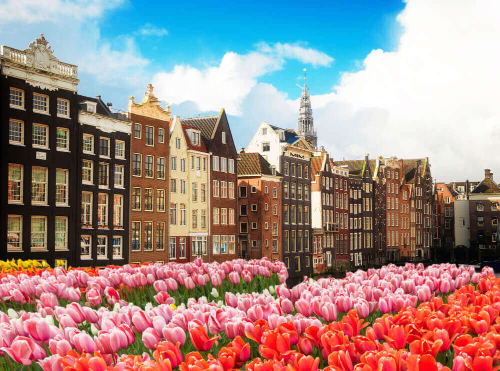 Facades-of-dutch-houses-over-canal-with-fresh-tulip-flowers-Amstardam-Netherlands.jpg