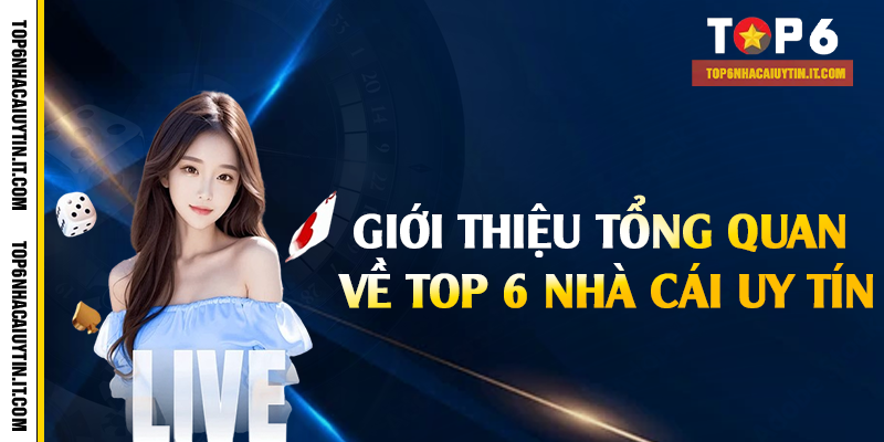 Giới thiệu tổng quan về top 6 nhà cái uy tín